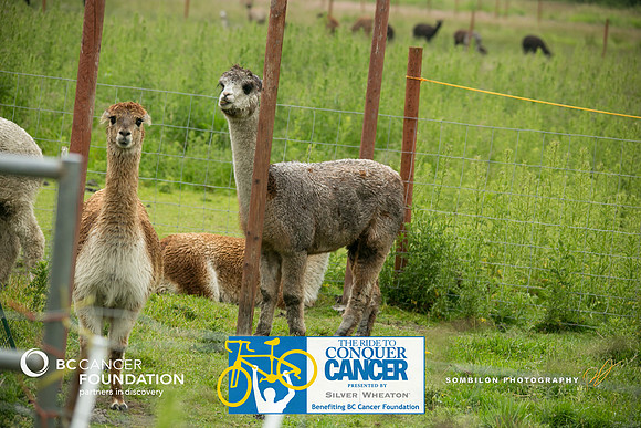 DAY2 – B ROUTE – 5 – RTCCVA – Sombilon Photography-266-WEB