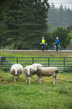 DAY1 – B ROUTE – 2 – RTCCVA – Sombilon Photography-90