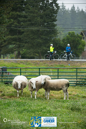 DAY1 – B ROUTE – 2 – RTCCVA – Sombilon Photography-90-WEB