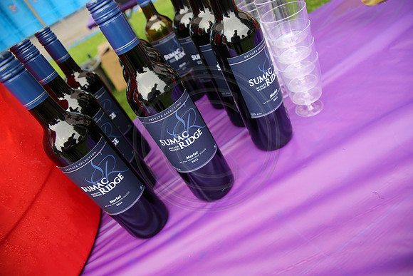 2 SPONSORS - CHVA  – Sombilon Photography-17