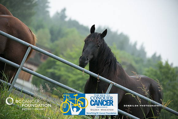 DAY1 – B ROUTE – 1 – RTCCVA – Sombilon Photography-171-WEB